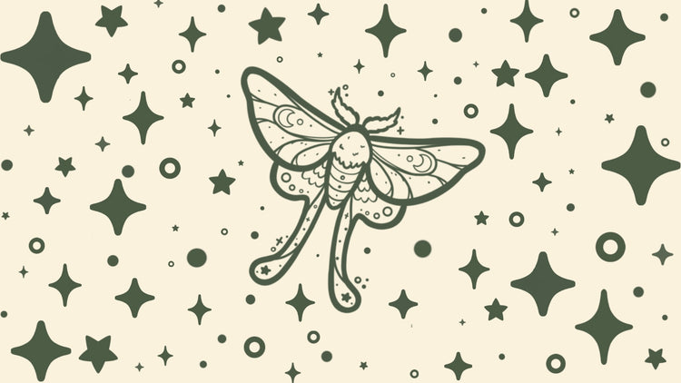 ✧ ANIMAL ASSETS ✧