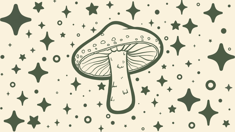 ✧ FUNGI ASSETS ✧